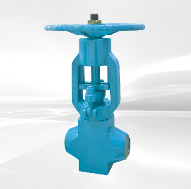 Anti Scour Globe Valve