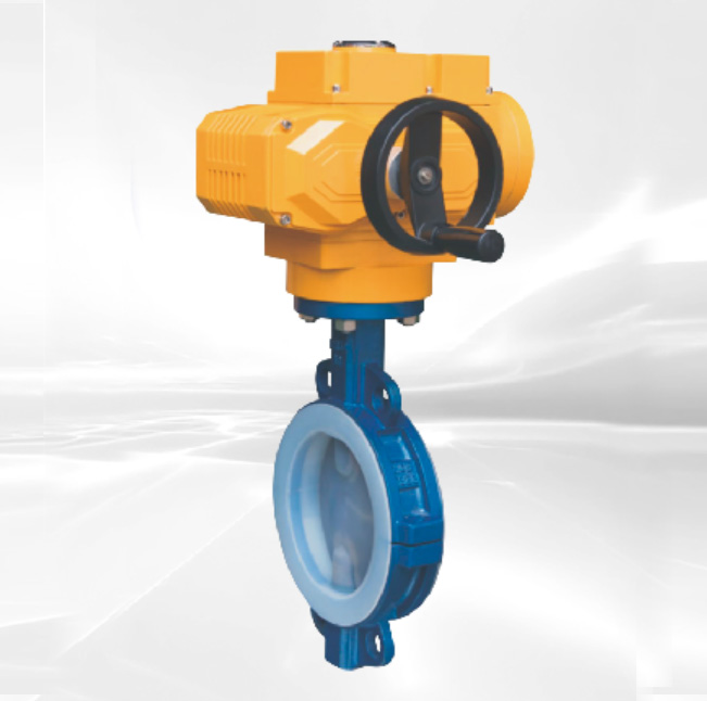 Fluorine Butterfly Valve