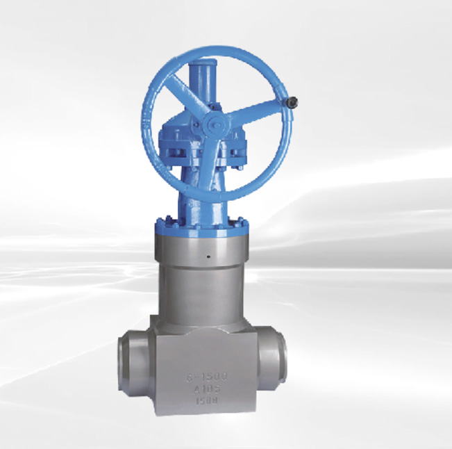 Forged Steel Self Sealing Gate Valve