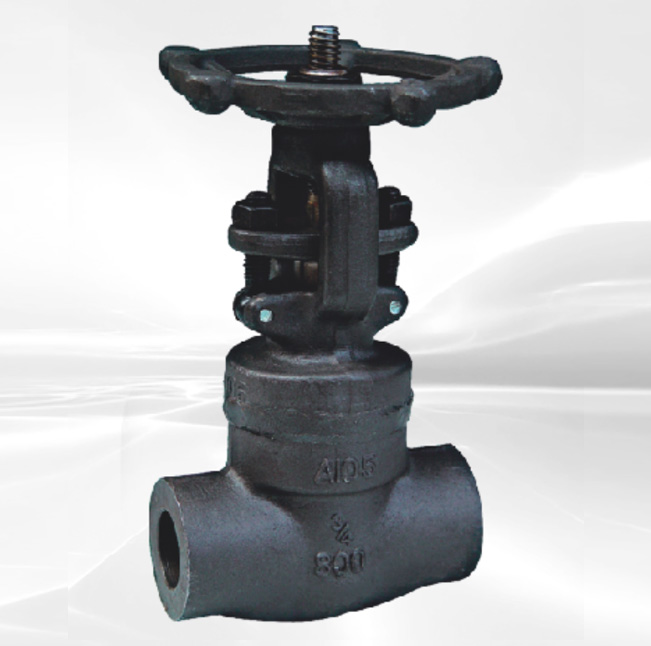 Forged Steel Globe Valve